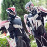 Darkness Tiger and Bunny_00