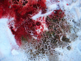 Blood and Snow #5