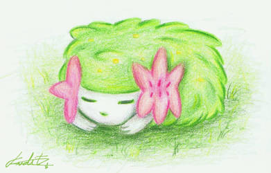 SHAYMIN