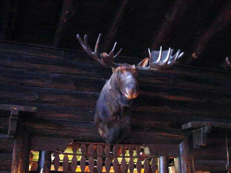 Moose Head