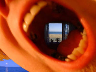 Mouth Window