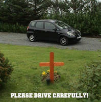 Please Drive Carefully