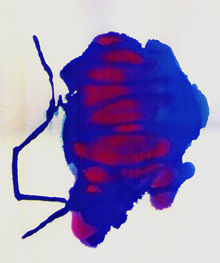 Ink Splotch II by explodybrain on DeviantArt