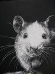 Rodent by hesxmyxEDO