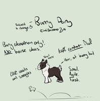 The Bunny Pony