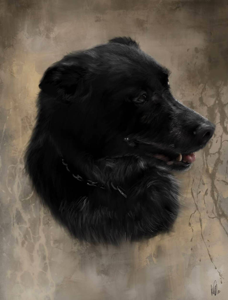 Black Lab Deviantart Black Labrador portrait by mattyiceart on DeviantArt