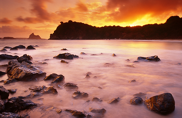 noronha island