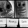 Owl always love you