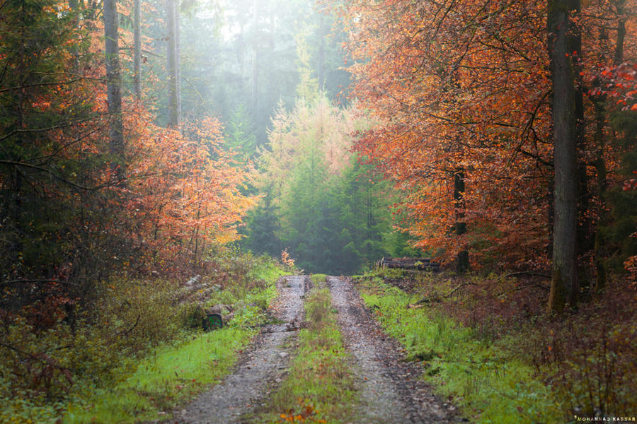 Endless Path by MohannadKassab on DeviantArt