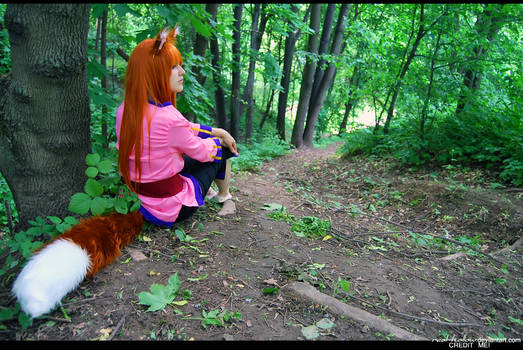 Spice and Wolf 4