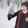 Harry Potter cosplay 2