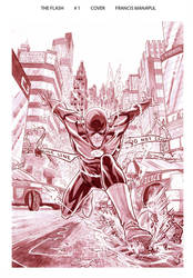 Flash 1 Cover