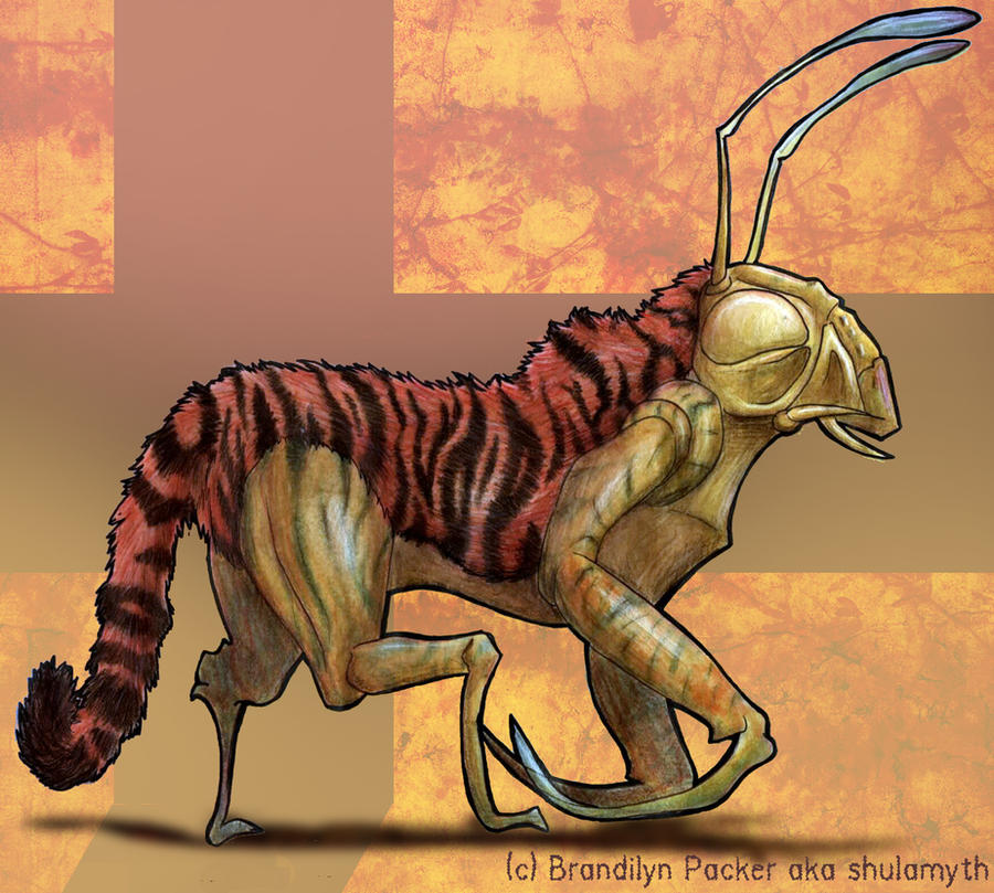 Tiger mantis