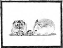 Hamsters