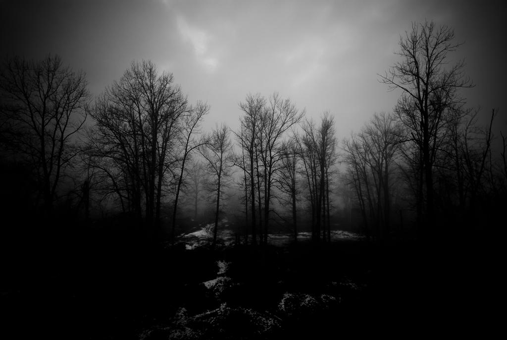 Темно жалкий. Лес темный страшный. Мрак. Жуткий лес. Лес мрак.