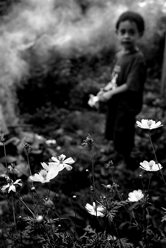 Boy and Flowers