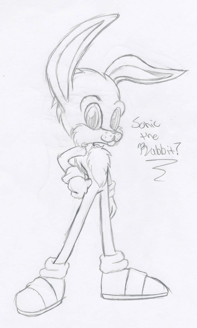 Sonic the Rabbit? by AmyAmyCyberfolf on DeviantArt