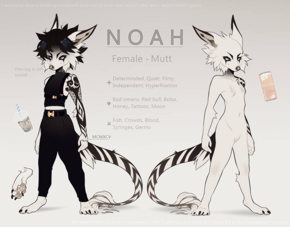 NOAH Reference