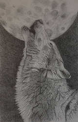 Wolf's Moon