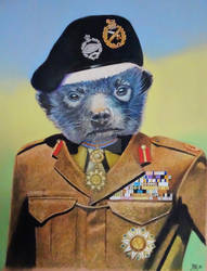 Honey Badger in Generals uniform