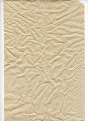 Wrinkled Paper Towel