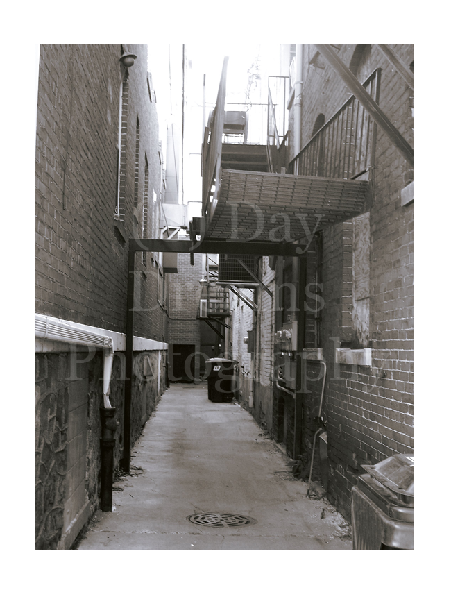 The Alley