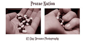 Prozac Nation