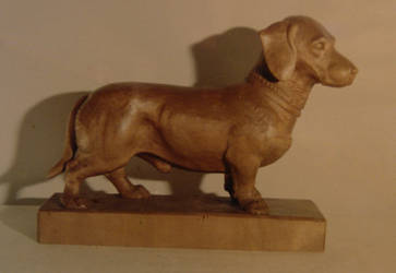 Dachshund