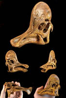 Corythosaurus casuarius Skull