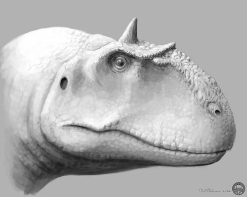 Majungasaurus Portrait