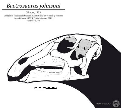 Bactrosaurus Tooth Bactrosaurus Skeletal