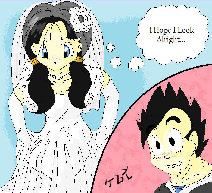 Gohan and Videl's Wedding Day by AriesAlpineSavi on DeviantArt