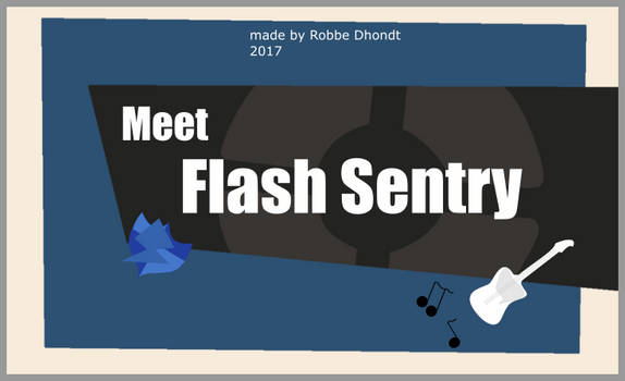 Meet Flash Sentry