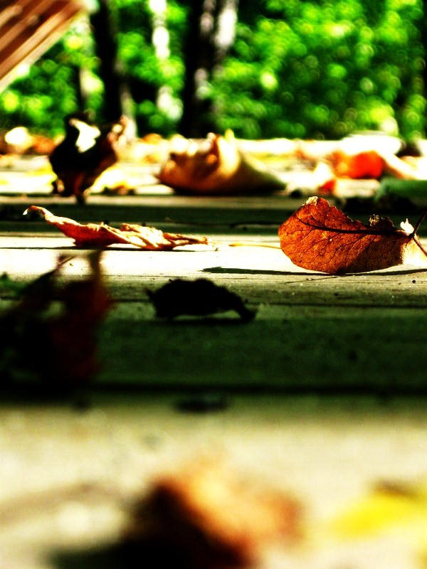 Extreme Contrast by Jamoldred on DeviantArt