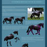 Horse Rebuilding Tutorial