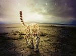 Fierce by Ellessy