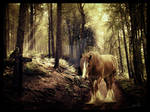 Lost by Ellessy