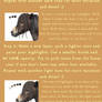 Horse Hair Tutorial - Summer Tutorial 2013