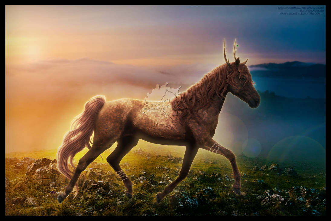 Lark by Ellessy on DeviantArt