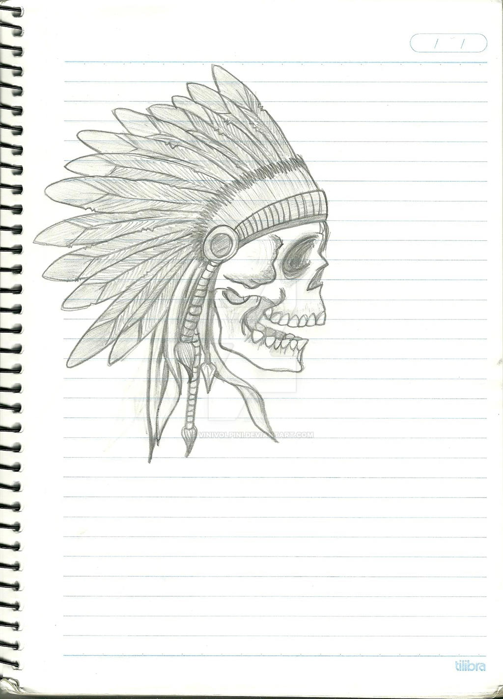 Indian Skull by vinivolpini on DeviantArt