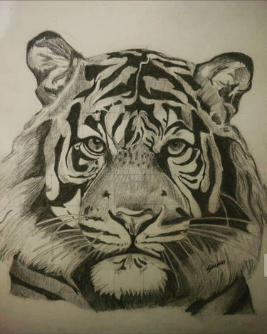 THE MIGHTY AND FIERCE BENGAL TIGER