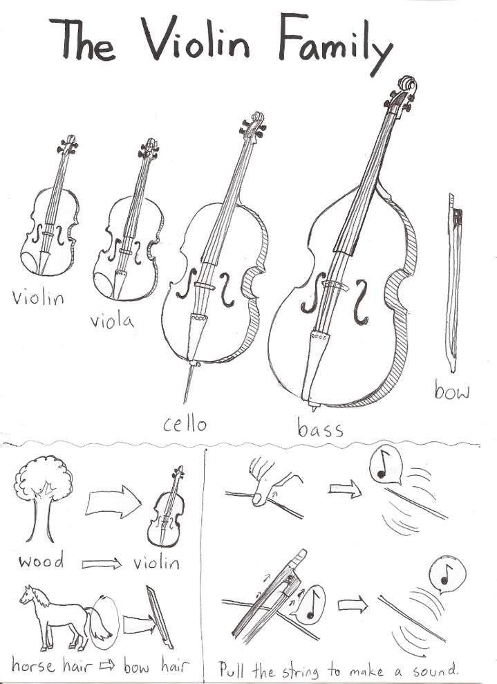 The Violin Family