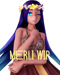 collab merli wip