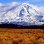 New Zealand Volcano