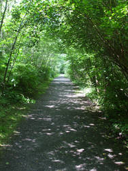 Living Tunnel