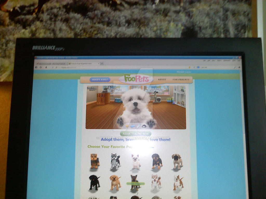 Foopets FooPets online game by Horseladygraphics on DeviantArt