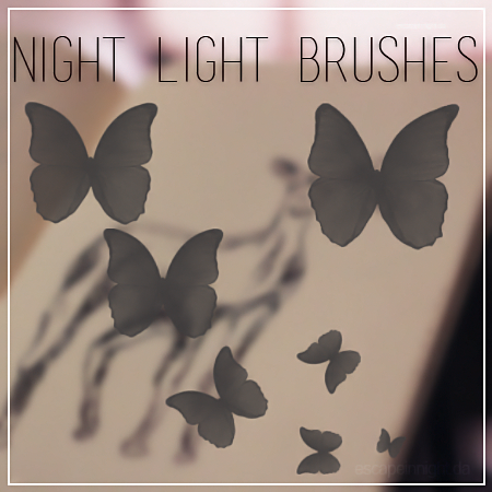 +. Night Light Brushes