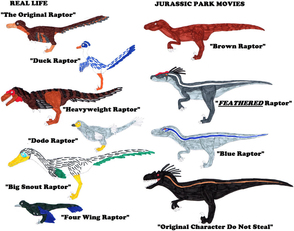 Rick Raptor Dinosaurs Raptor Names