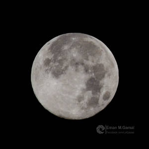 Full Moon 1/9/2012