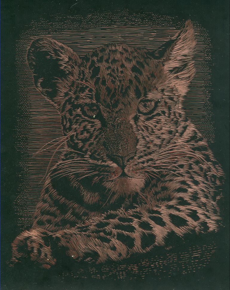 Leapord Cub Scratch Art